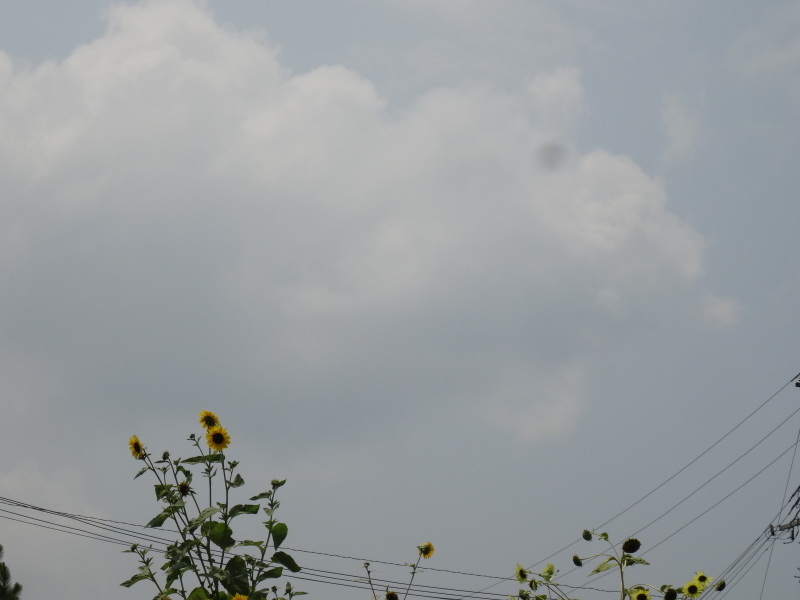 c0108460_16323525.jpg