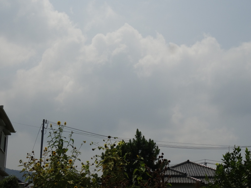 c0108460_16323707.jpg