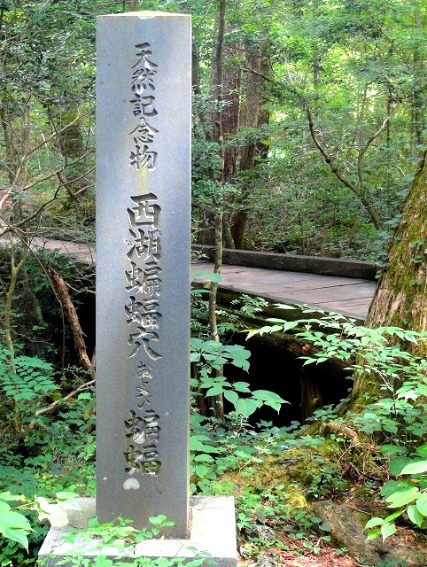 c0119160_2257918.jpg