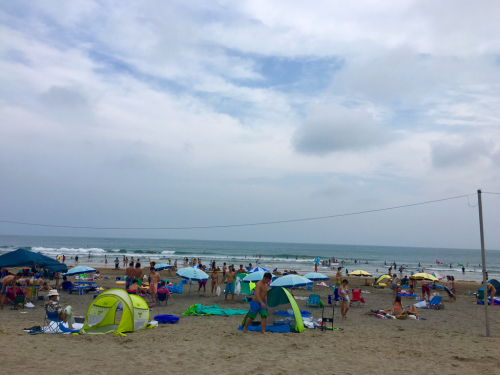 千葉の海&魚市場_c0151965_11532336.jpg