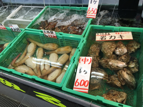 千葉の海&魚市場_c0151965_11532402.jpg
