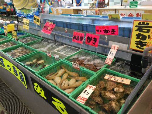 千葉の海&魚市場_c0151965_11532439.jpg