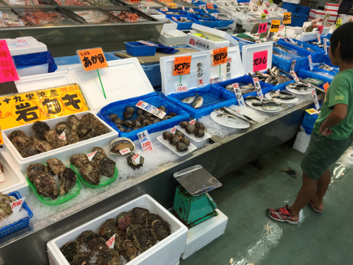 千葉の海&魚市場_c0151965_11532594.jpg
