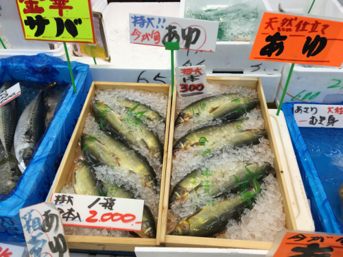 千葉の海&魚市場_c0151965_11532609.jpg