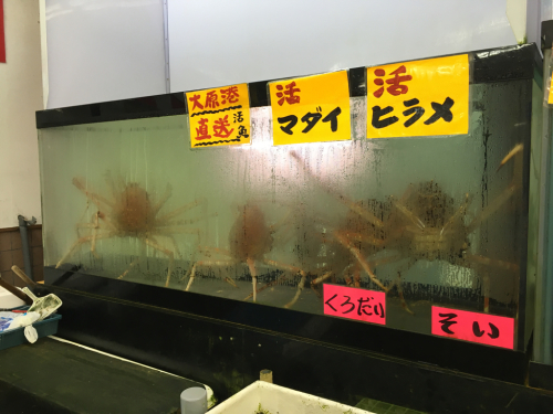 千葉の海&魚市場_c0151965_11532692.jpg