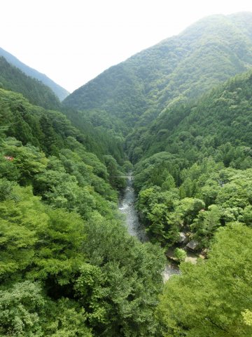 e0045768_21311573.jpg