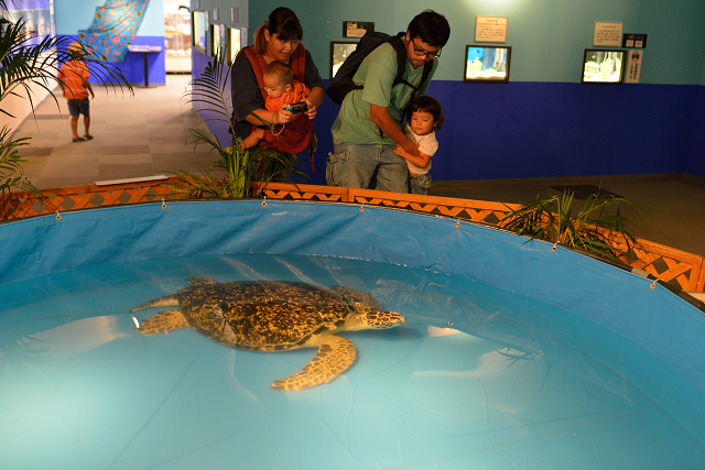 百貨店で水族館_c0197772_7562329.jpg