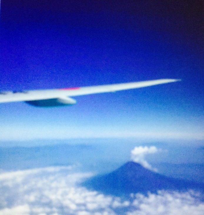d0334872_11135294.jpeg