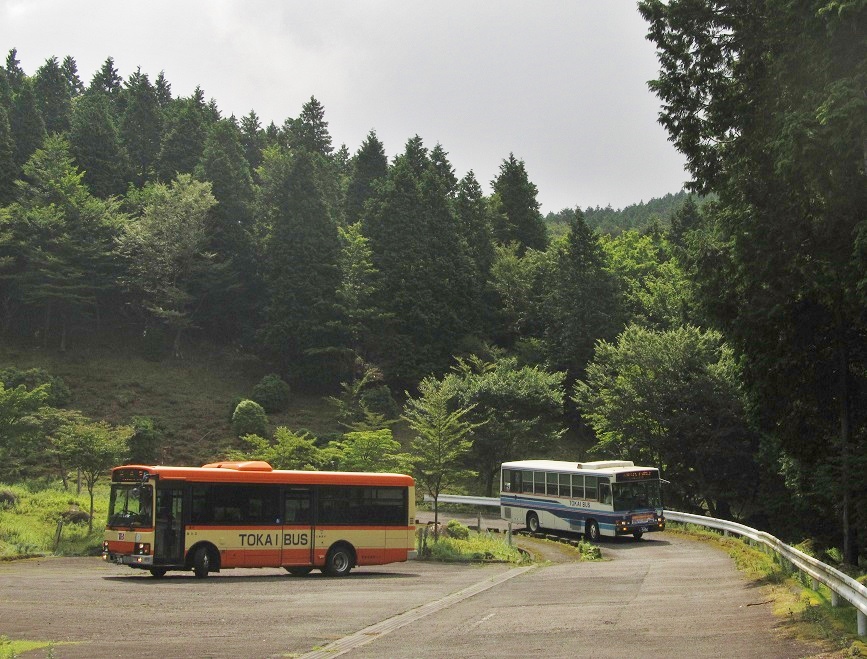 八丁池口[終点]・(静岡県河津町)_c0355177_18331385.jpg