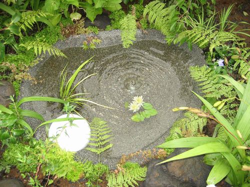 家族が一緒に楽しめるビオトープのある暮らし 庭の写真館 家族が一緒に楽しめるビオトープのある暮らし 庭の写真館