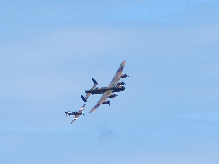 b0228988_50294.jpg