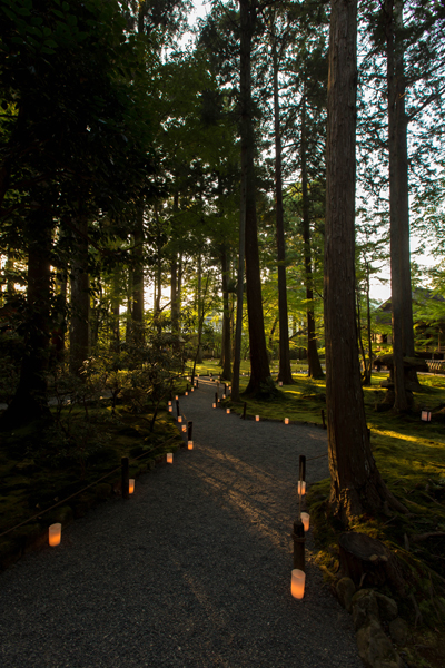 三千院_e0051888_558476.jpg
