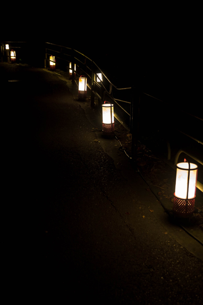 三千院_e0051888_603617.jpg