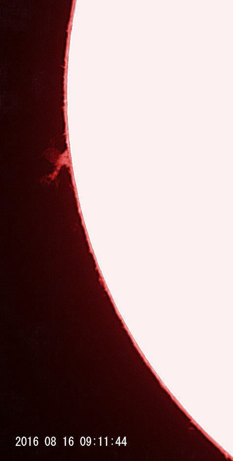 8月16日の太陽_e0174091_11393009.jpg