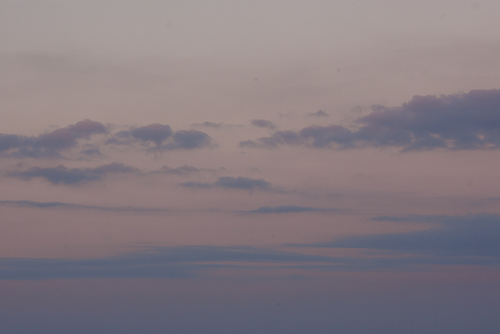 f0003598_1165691.jpg
