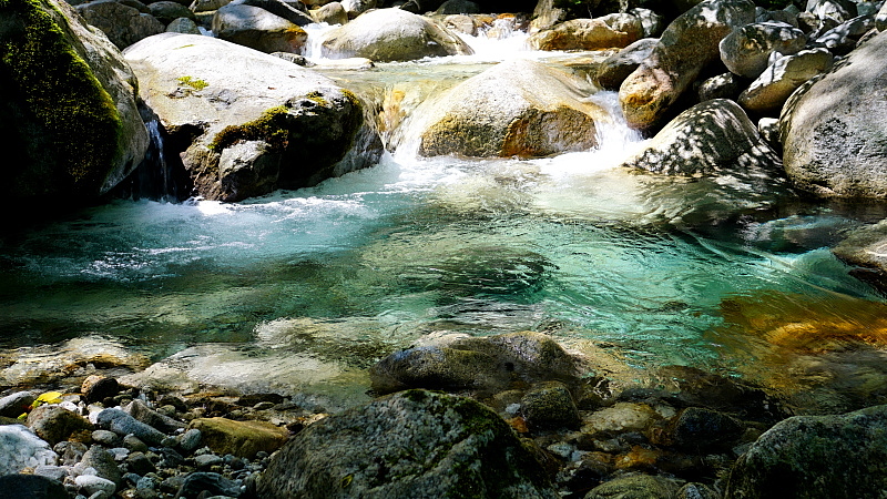 c0339900_6471383.jpg