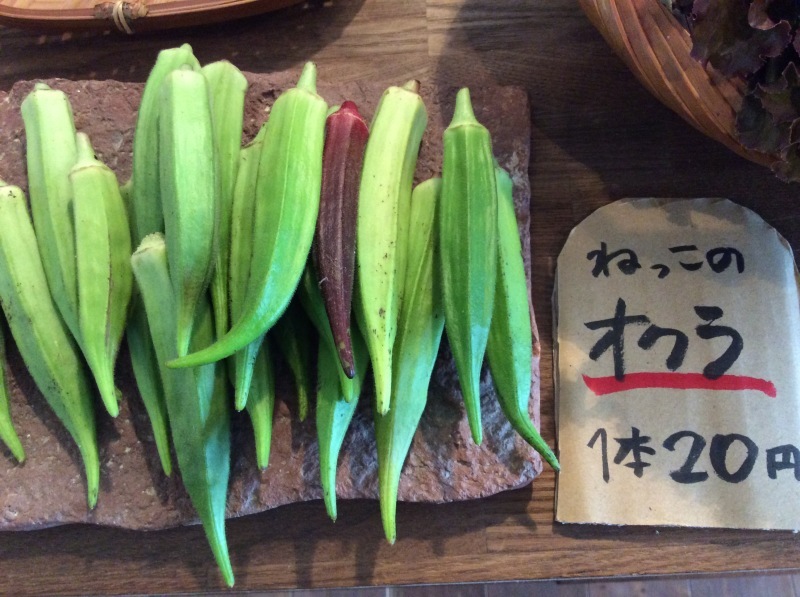 b0220002_21000271.jpeg