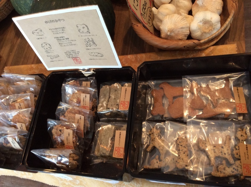 b0220002_21102237.jpeg