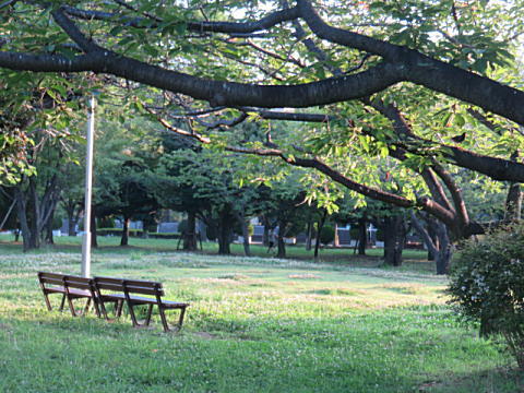 d0046702_5515260.jpg