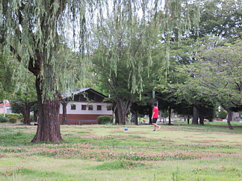 d0046702_5534520.jpg