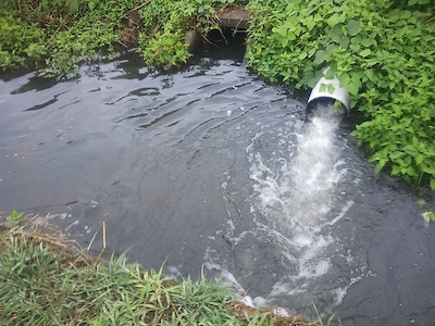 f0082402_16155336.jpg