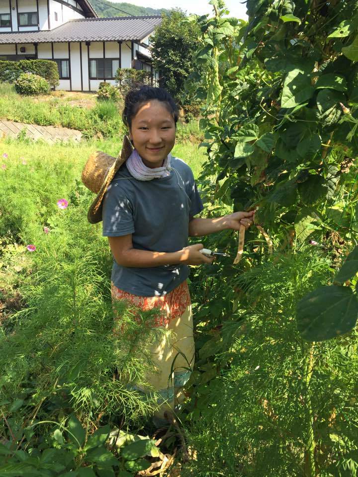 自然な暮らしと表現 虹のうたクラブ 愛の花 自然な暮らしと表現 虹のうたクラブ 愛の花