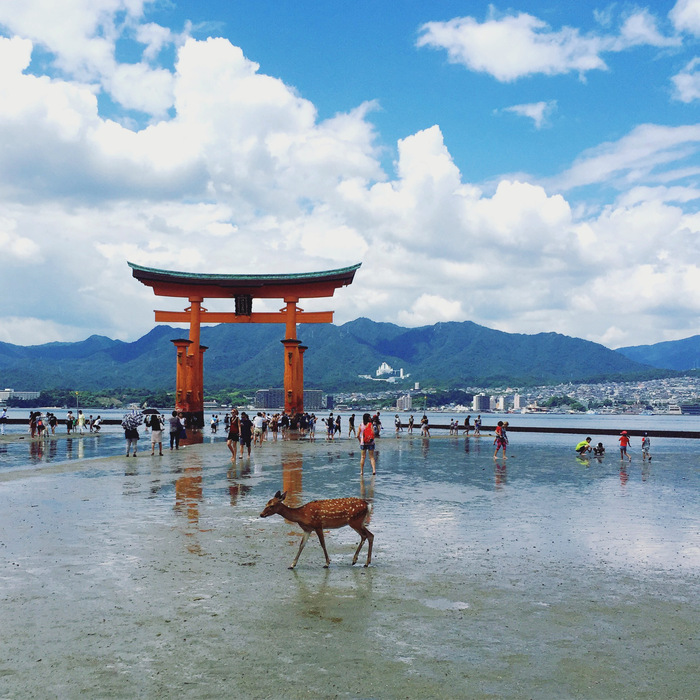 小6広島遠足から帰ってきました。_d0116009_19573580.jpg