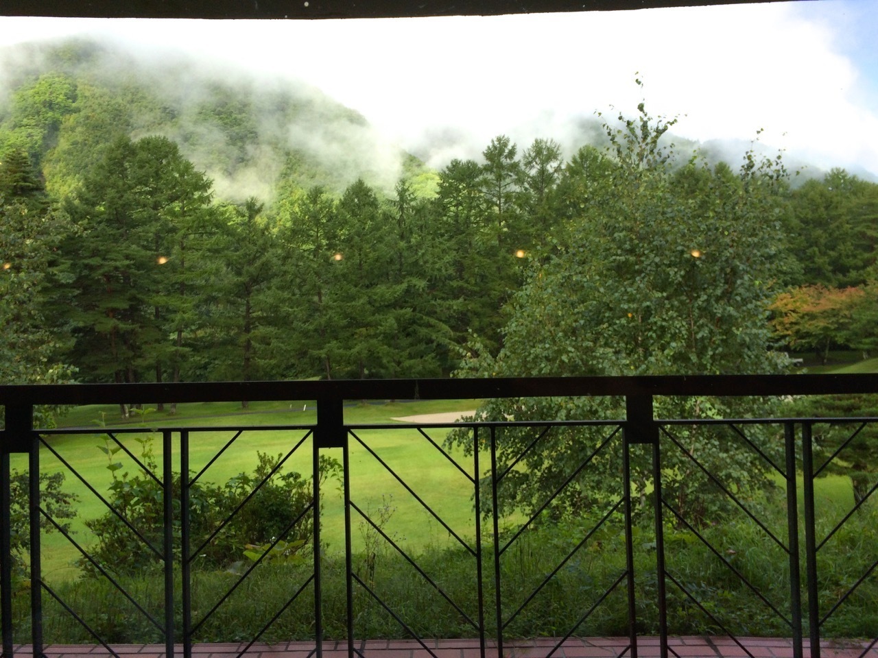 d0352022_10324224.jpeg