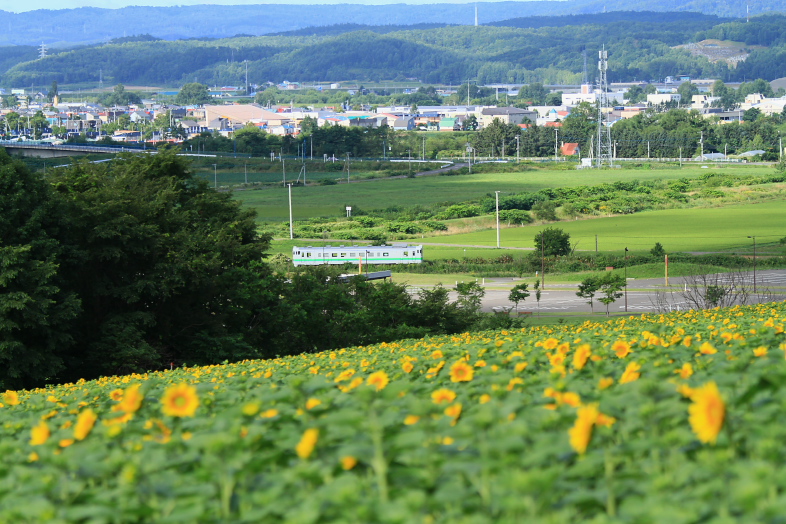 f0009433_041615.jpg