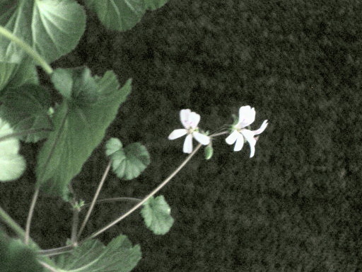 a0329935_08080583.jpg