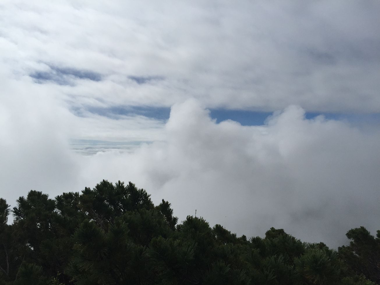 b0187142_23045.jpg
