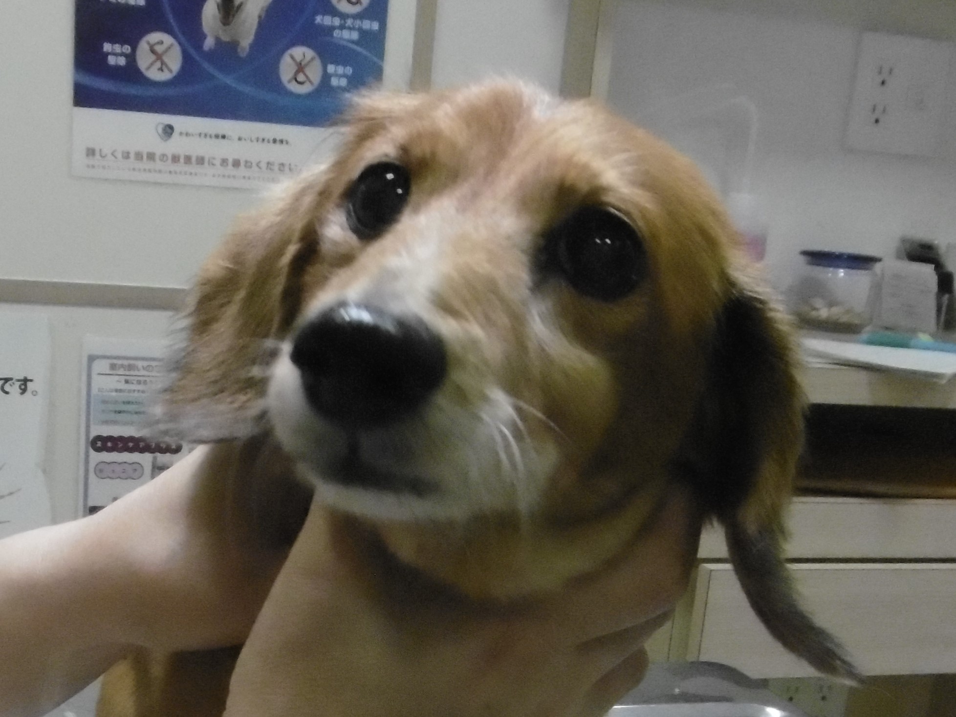 8 月 17 日の写真_c0174644_18121645.jpg