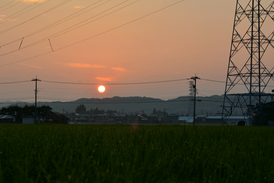 朝日(1)_c0093046_17433028.gif