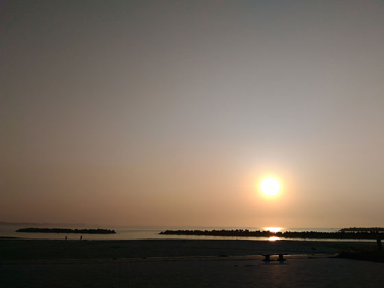 c0335348_175716100.jpg