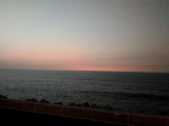 c0335348_1757769.jpg