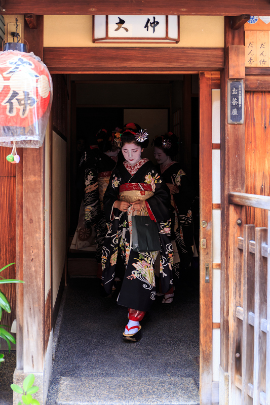 八朔のあいさつ回り（祇園甲部）_f0155048_1694010.jpg