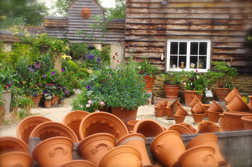 Tall Flared Basket Shell potの寄せ植え : Whichfordに恋をして