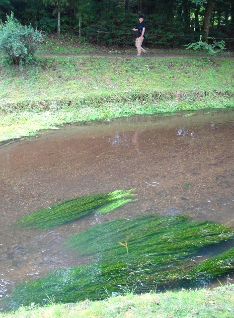 c0119160_86476.jpg