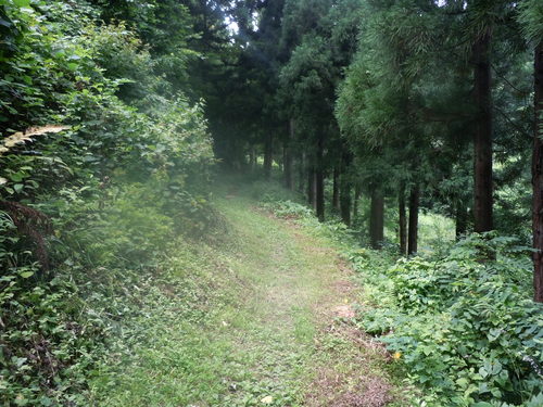 白馬方面でフライフィッシング&サイクル _f0145963_10443494.jpg