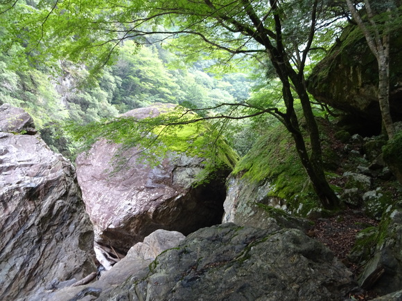 お盆休み その3 宮川の秘境へ_c0245666_92452.jpg