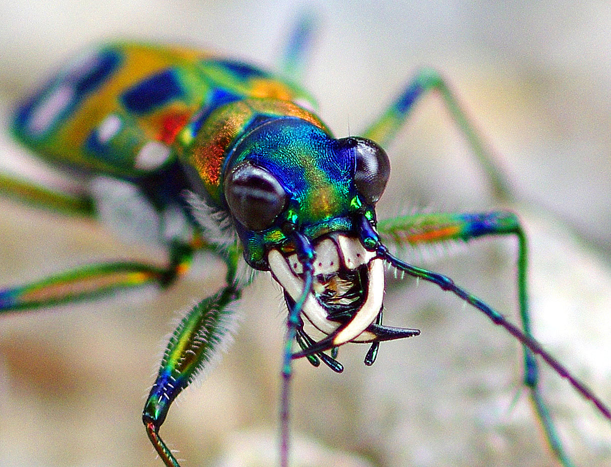 f0215767_14352956.jpg