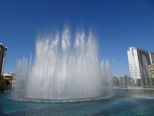 d0193569_9555978.jpg