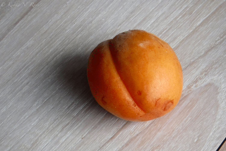 f0367473_02424044.png