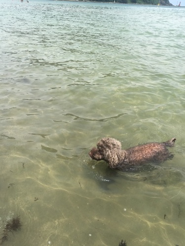 日本の夏を満喫して、いざパリへ！_b0176275_06320840.jpeg