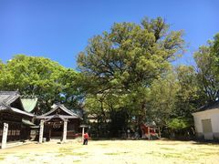 のど自慢2016　～新居浜 水樹奈々出演回～_f0370494_08520378.jpg