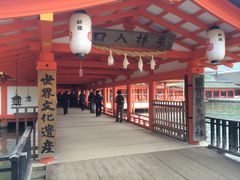 坂本真綾20th Anniversary Special Live Open Air Museum 2015―嚴島神社―_f0370494_10251088.jpg