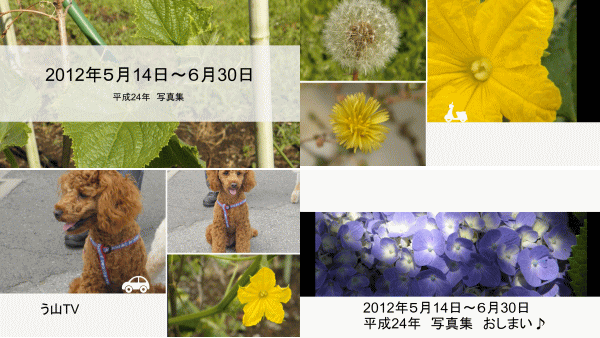 a0043204_14522226.gif