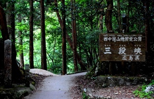 f0361605_23155864.jpg