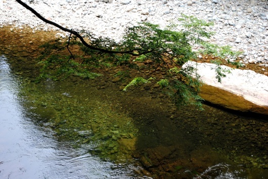 f0361605_23412590.jpg