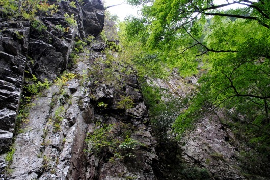 f0361605_23473524.jpg